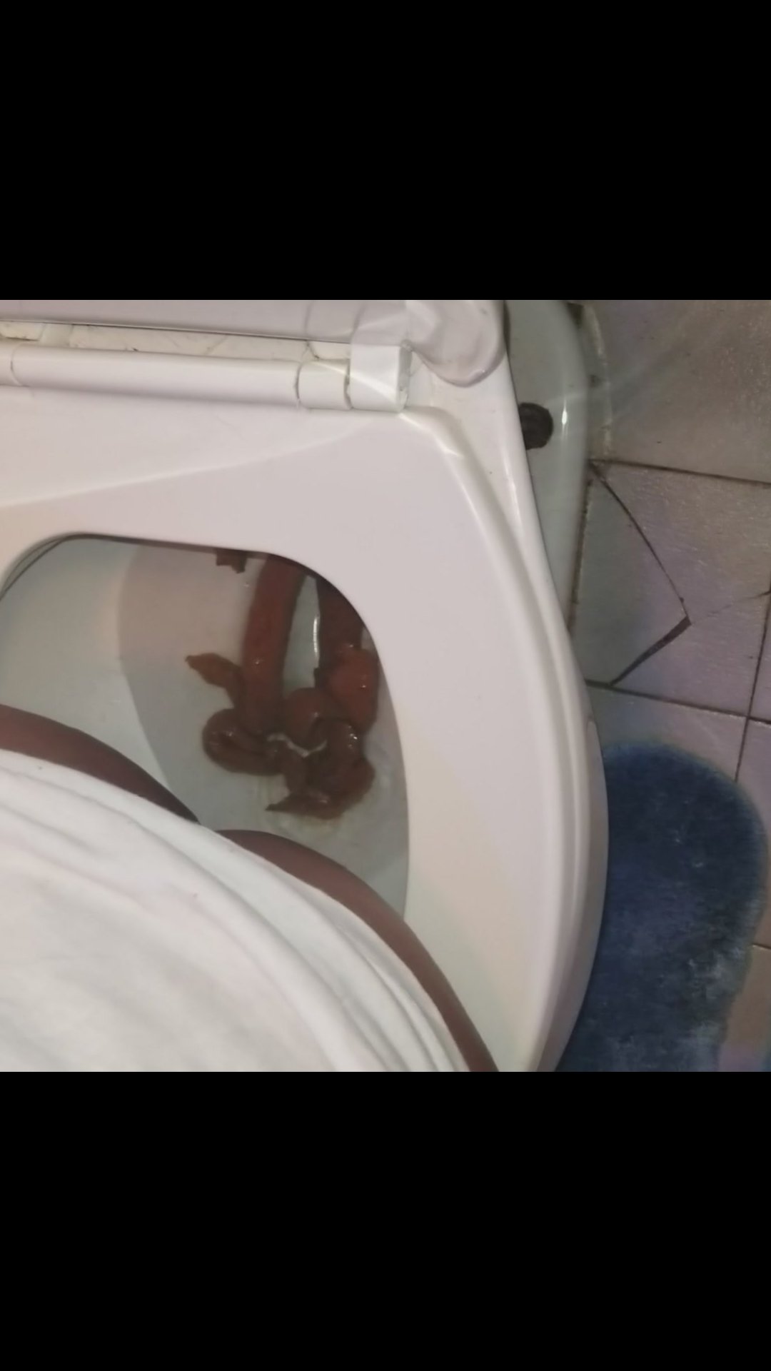 Click to play video Ebony poop - video 19
