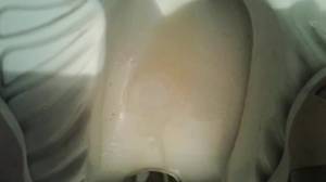 Click to play video Toilet - video 247