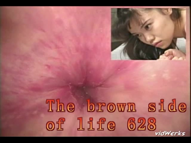 Click to play video The brown side of life 628