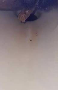 Click to play video Scat 2 - video 9