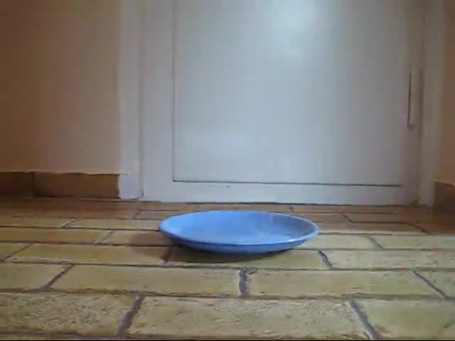 Click to play video IFHMTEM0001