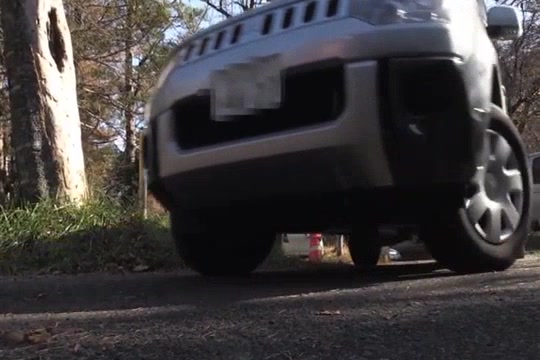 Click to play video Old and young Japanese