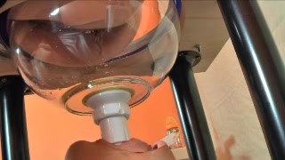 Click to play video Swallowing poop through funnel