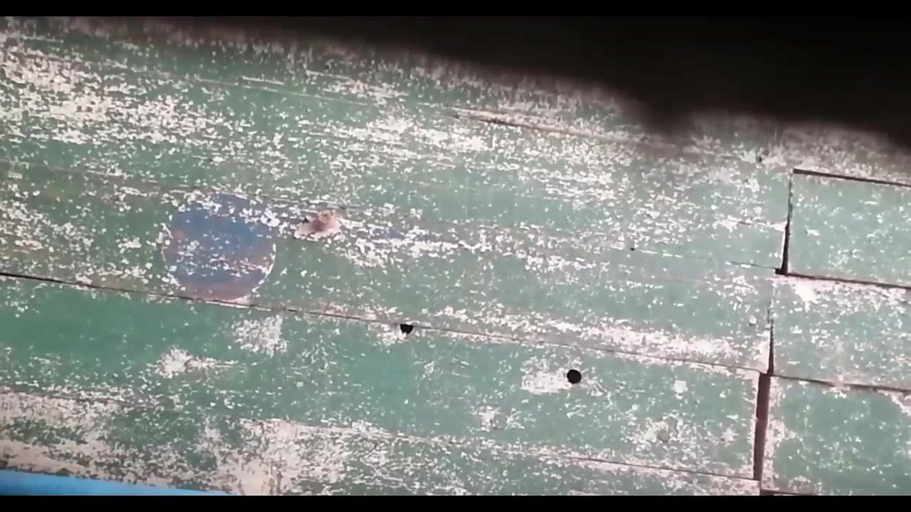 Click to play video KASACHSTAN WC 6 - SWEET MATURE NURSE SHITTING - ThisVid. com