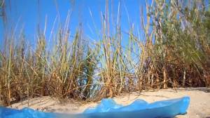 Click to play video Russian girl poops in the sand dunes