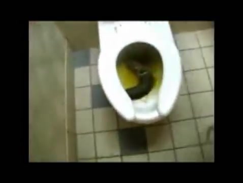 Click to play video Classic: Black girl drops HUGE turd in lady's restroom