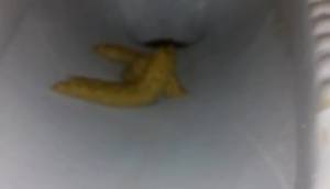 Click to play video Best Goddess shit