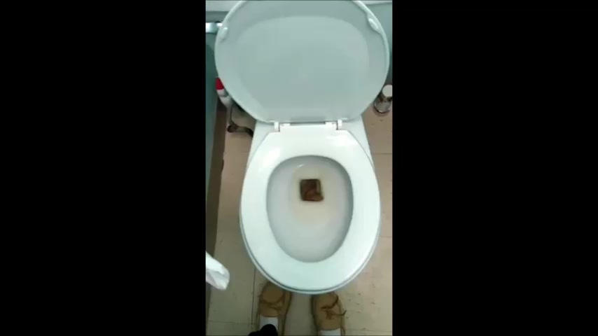 Click to play video Girl Drops A Thick Log In The Toilet