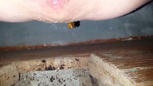 Click to play video Selfie of shitting in public toilet