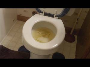 Click to play video Gabbay's big toilet poop
