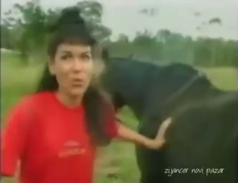 Click to play video the horse shited on girl's head
