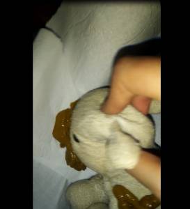 Animal Abuse Pornhub Videos