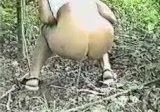 Click to play video (LOW QUALITY) Vintage Girl Taking a Dump in the Forest