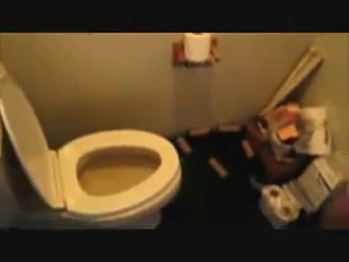 Click to play video Pooping - video 203