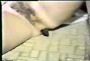 Click to play video poop - long turd