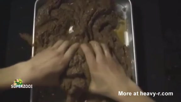 Click to play video Playing with shit - video 6