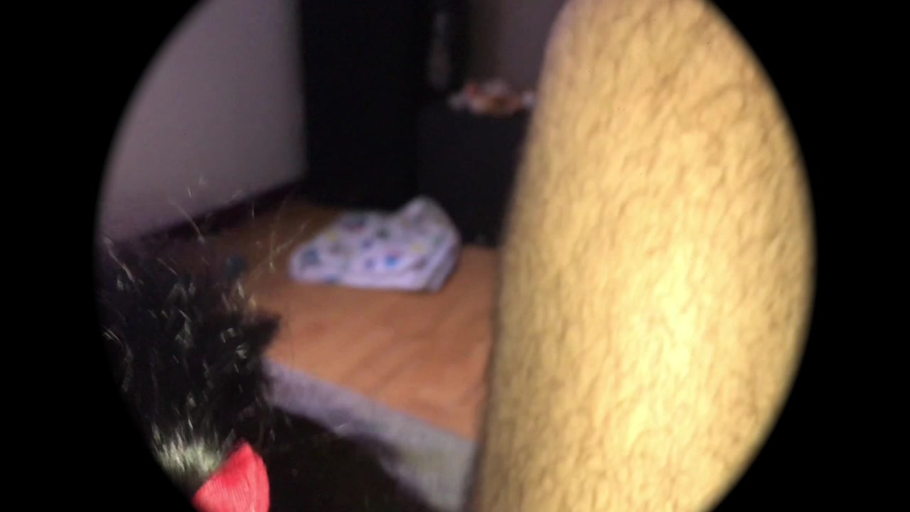 Click to play video oh Sshiit!