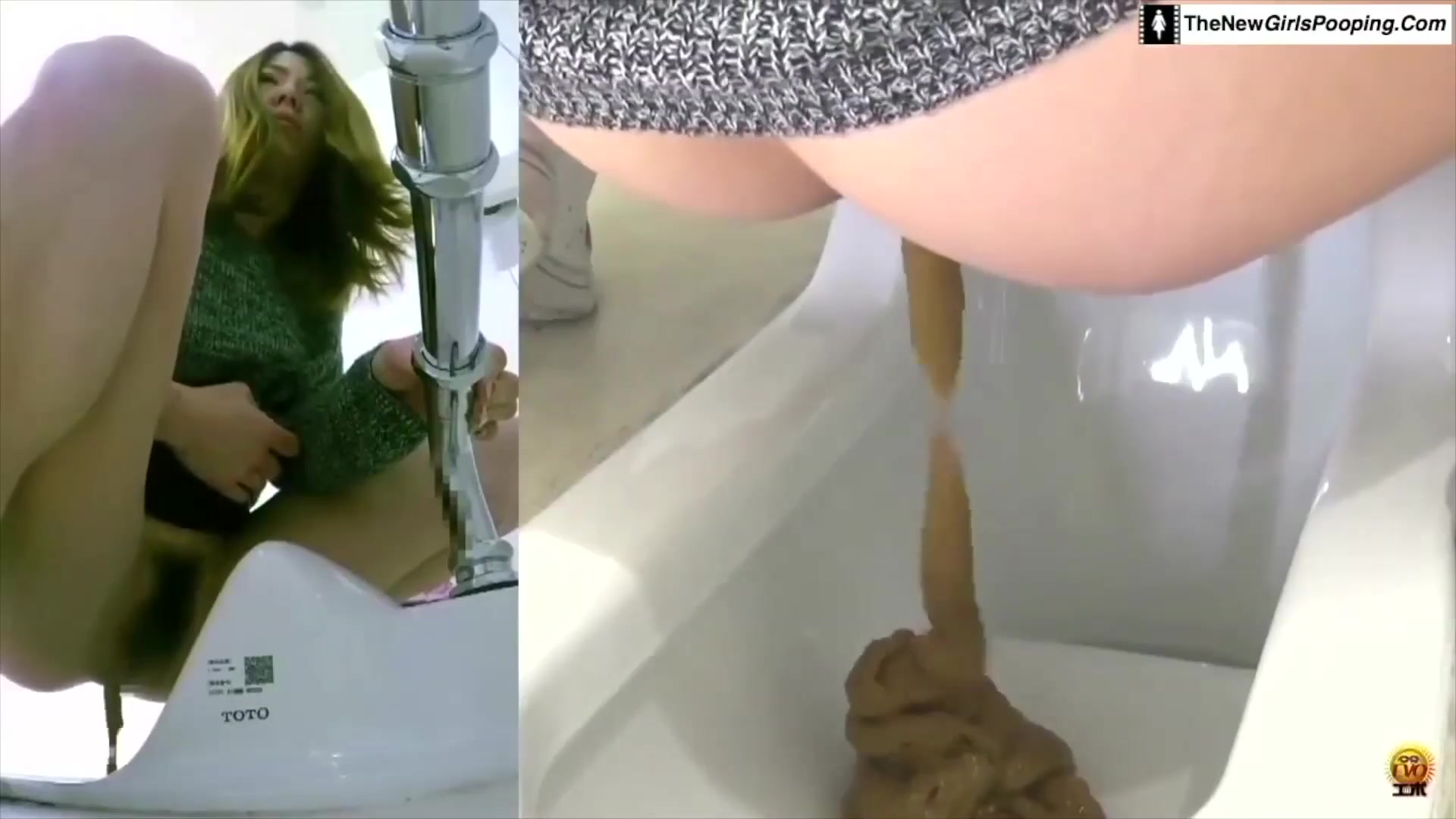 Japanese Scat Compilation
