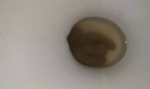Click to play video Sister - in - law's poop