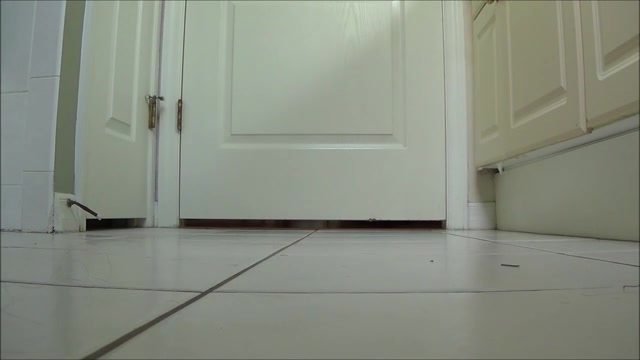 Click to play video Tegan huge poop compilation