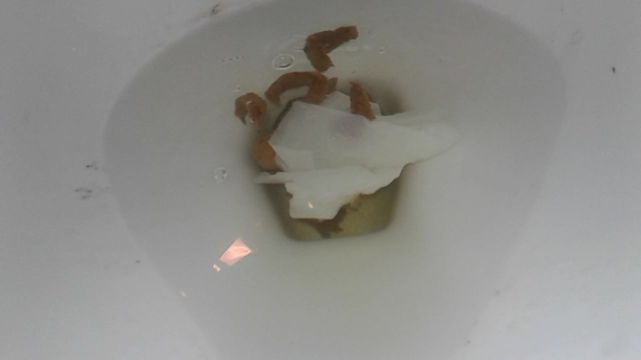 Click to play video Little Noisy Creamy Dump In The Toilet