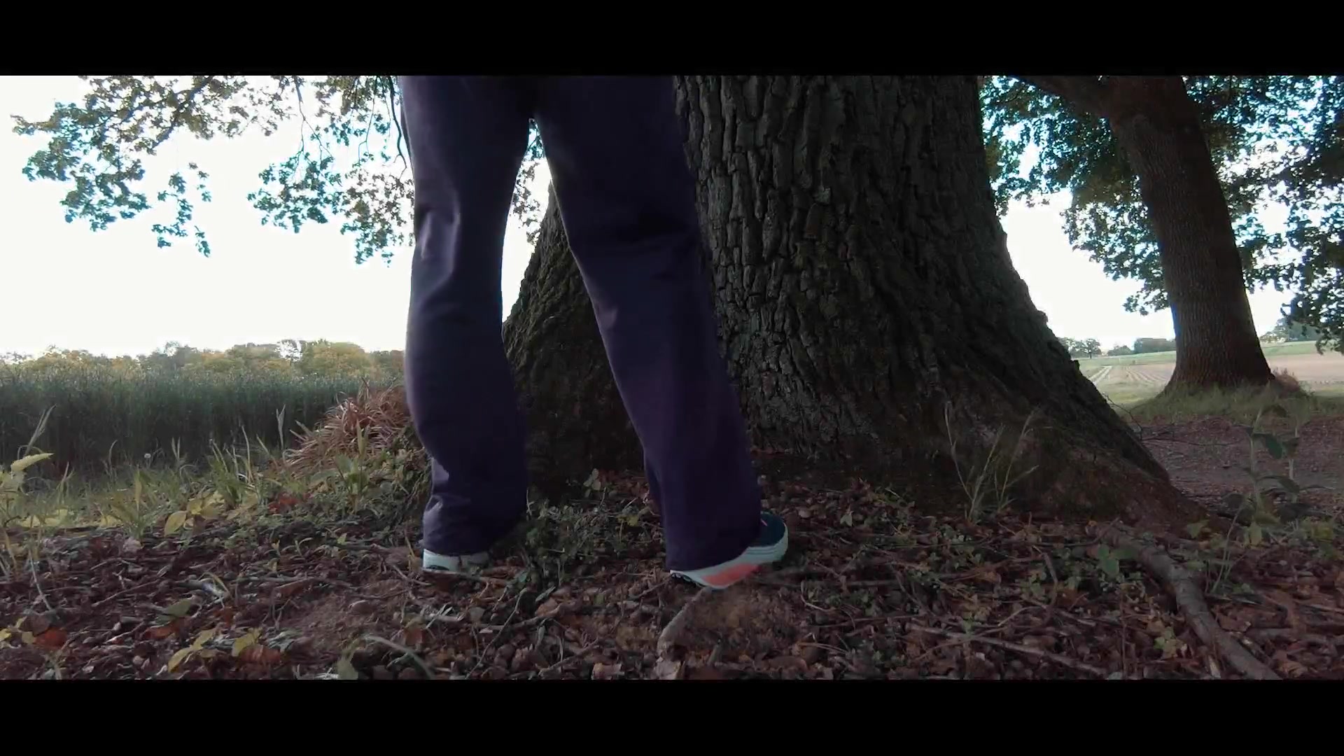 Click to play video Mia's huge poop behind tree