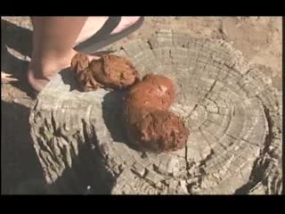 Click to play video College girl poops on a tree stump