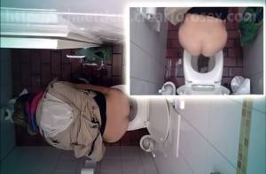 Click to play video Nice girl shits in public toilet