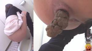 Click to play video More beautiful girls pooping in a public toilet for you