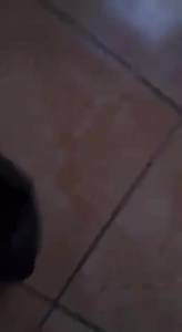 Click to play video Jilbab makan tai