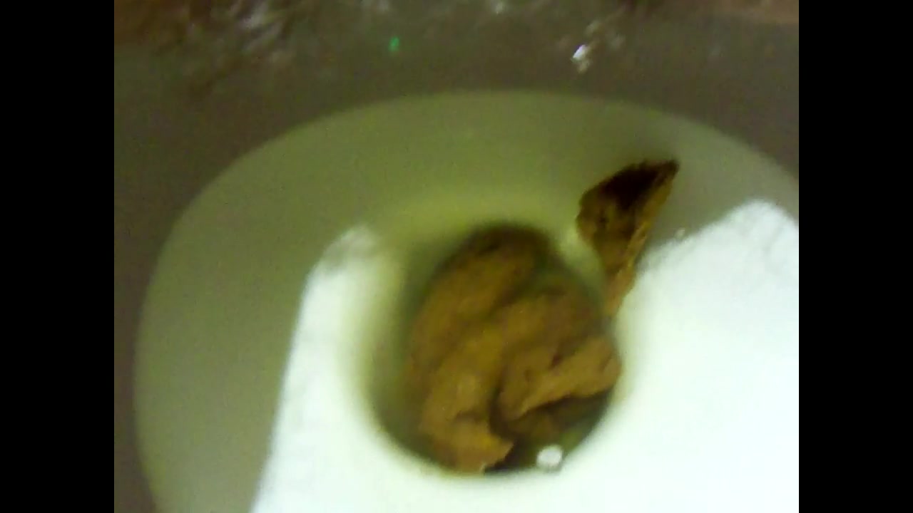 Click to play video SLUT SHIT IN TOILET