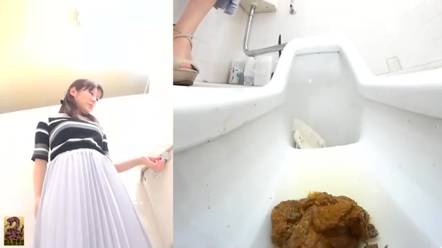Click to play video More asian public toilet poops