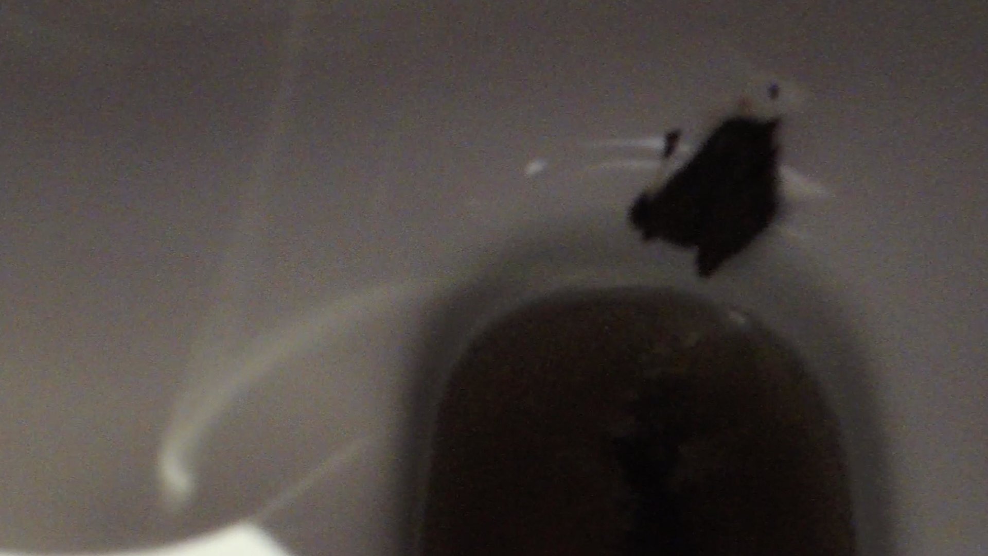 Click to play video My lil sister shitting twice in hotel toilet