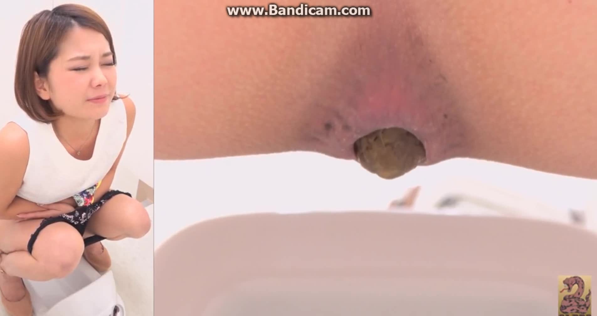 Click to play video Girlpooping