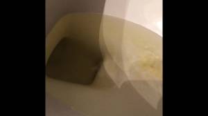 Click to play video Mushy, Noisy Logs W/Flush