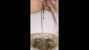 Girl on her period shitting in the toilet - ScatFap.com - scat ...