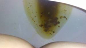 Click to play video Toilet Fart - video 12