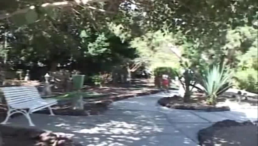 Click to play video shit 021