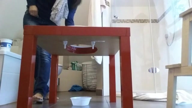 Click to play video Home made toilet