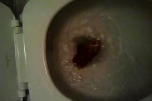 Click to play video North - American woman´s big turd won´t flush!