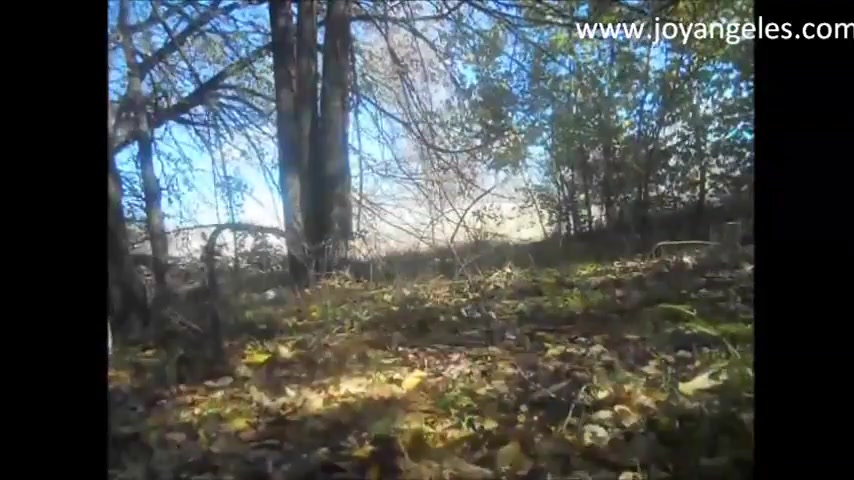 Click to play video pooping in the wood