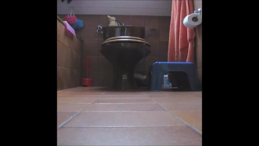 Click to play video Hot ass brunette shitting on the floor doggystyle