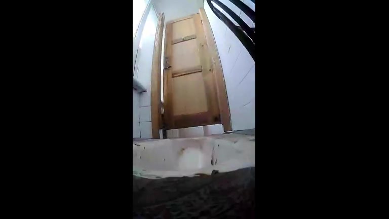 Click to play video toilet pooping collection