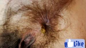 Click to play video Suck her shitty asshole
