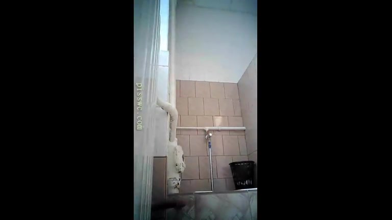 Click to play video russian toilet pooping 1