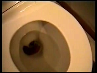 Click to play video Milf poops big time on toilet and shows us what she has done