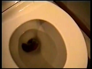 Milf poops big time on toilet and shows us what she has done ...