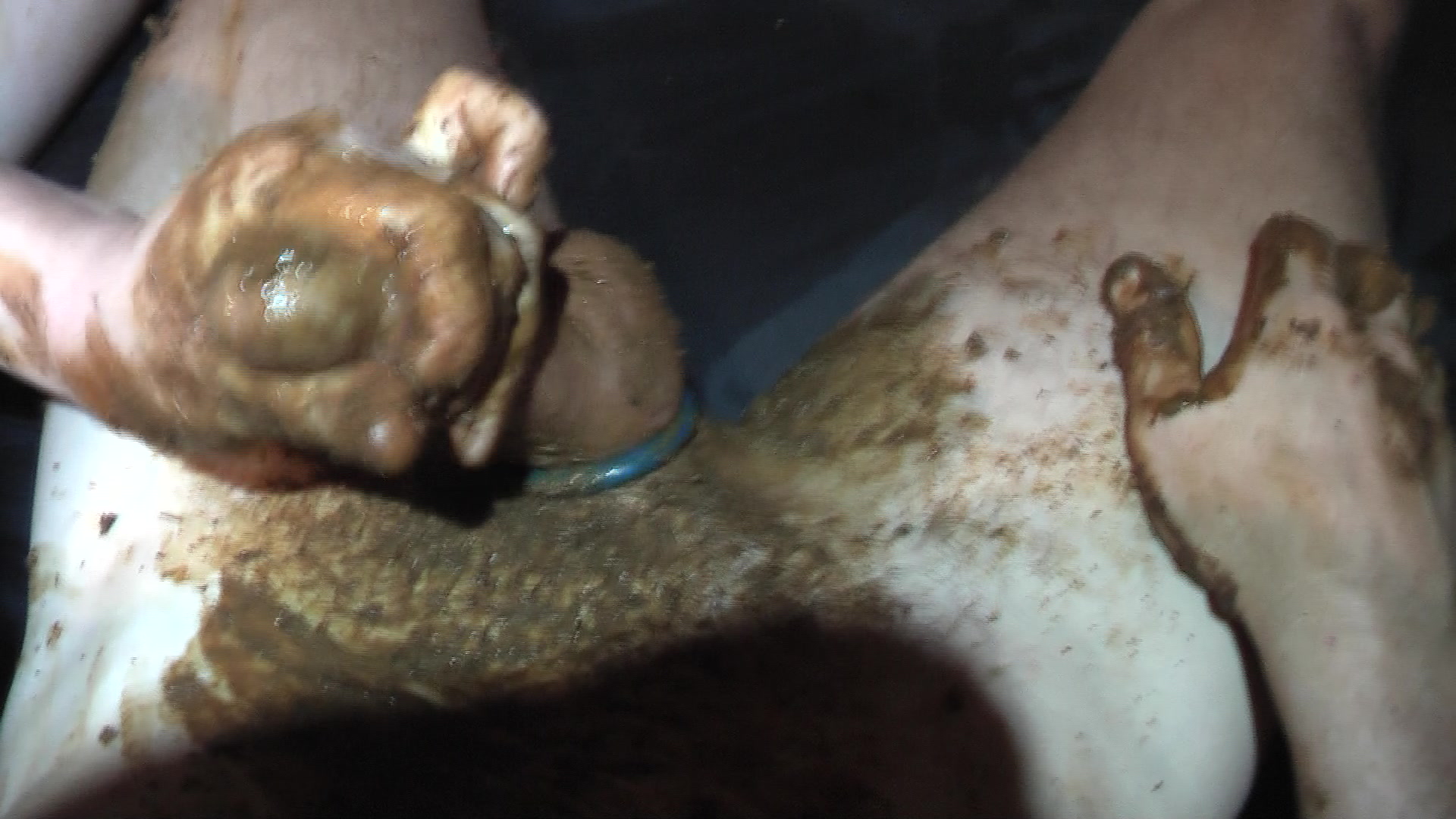 Click to play video 00059