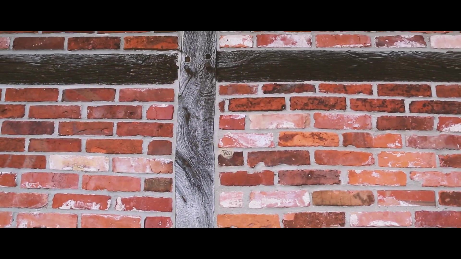Click to play video Mia poops outside a barn