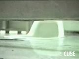 Click to play video 12012 - 04